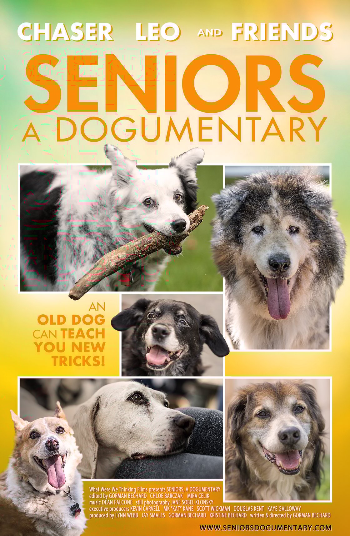Image of Seniors A Dogumentary movie poster