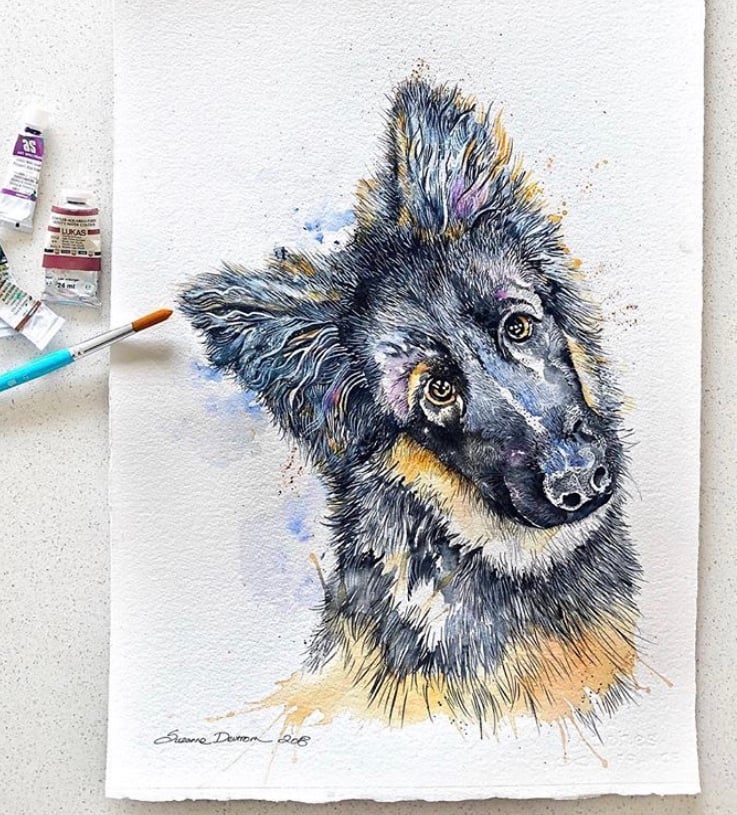 Image of Pet portraits