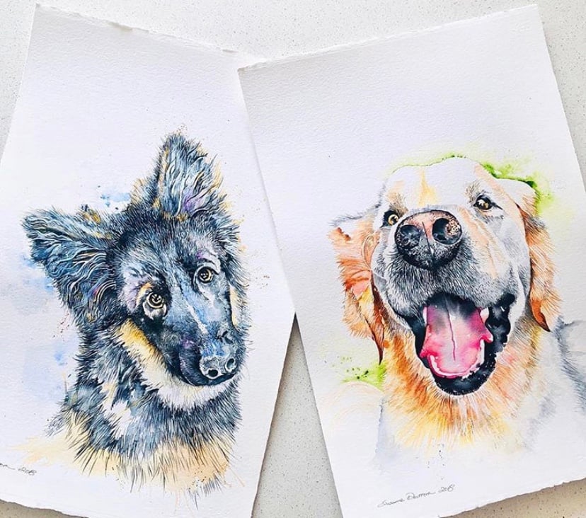 Image of Pet portraits