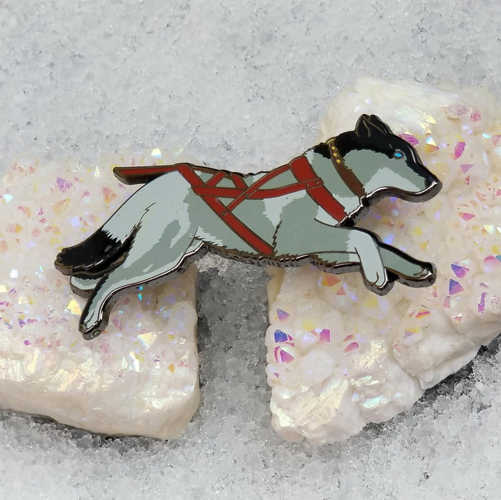 CLEARANCE: Togo misprint pin