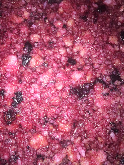 Image of Blueberry Body Scrub