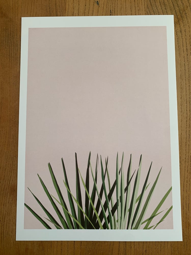 Image of Pink palm Giclée Art Print 
