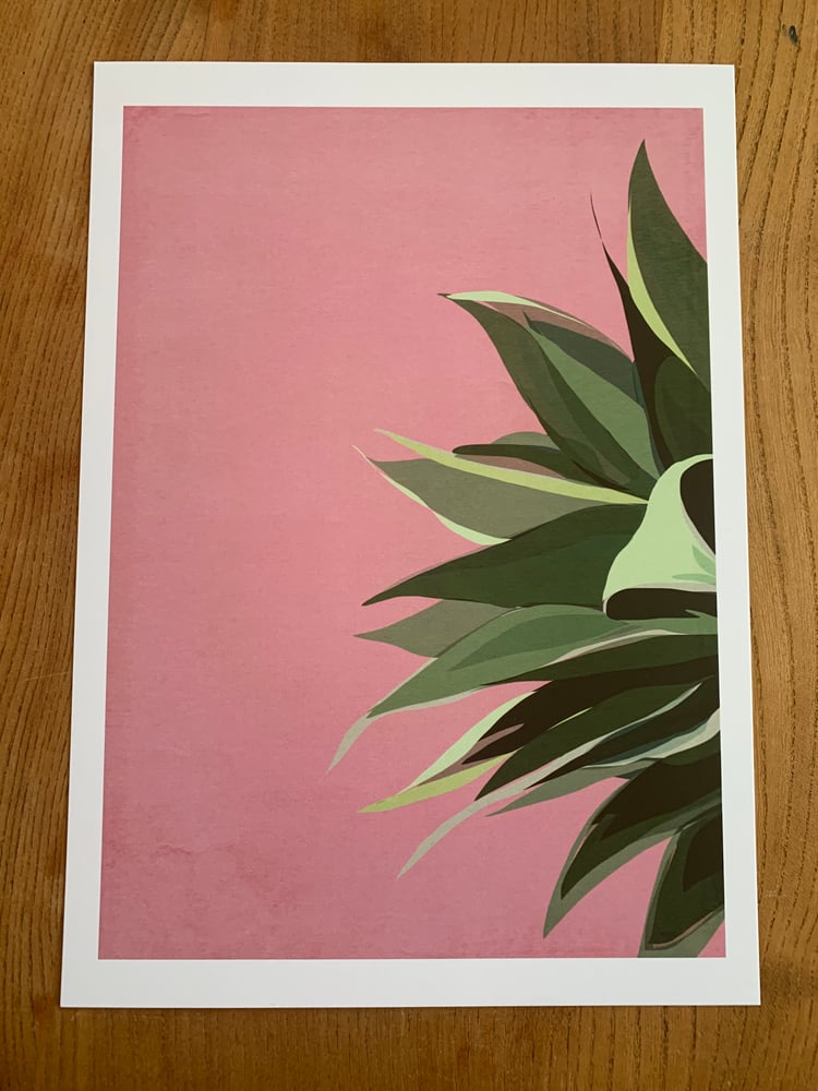 Image of Pink pineapple top Giclée Print 