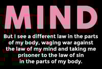 Image 4 of Regulate My Mind 