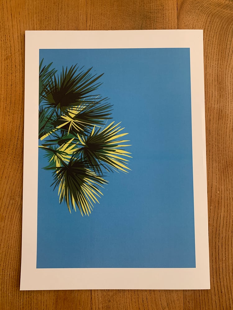 Image of Palm Giclee print