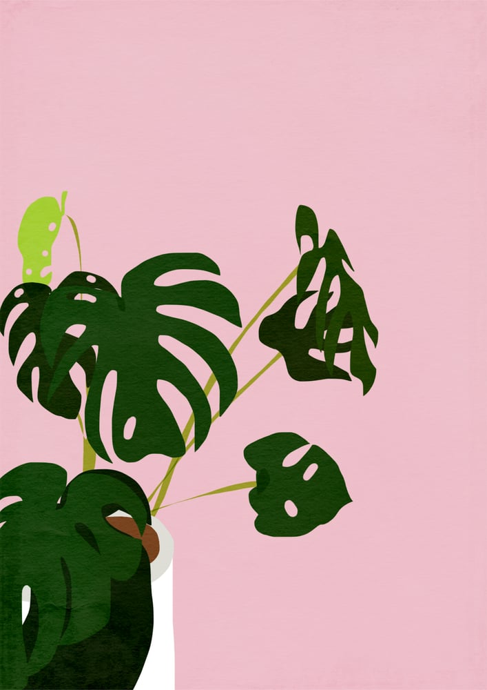 Image of Monstera Deliciosa Giclée Print