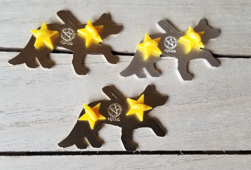 Buddy pins *Charity Pin*