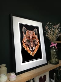 Image 2 of 'Cronx Fox'