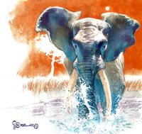 Image 2 of Tuskers Hardcover - Watercolor Remarqued Version