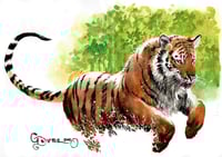 Image 4 of Tuskers Hardcover - Watercolor Remarqued Version