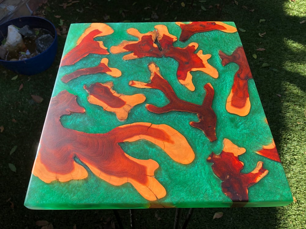 Image of Brasiletta and green resin table