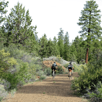 Image 4 of René HERSE Switchback Hill Tire 650B x 48 TC