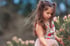 Poppy Capelet/Skirt Image 4
