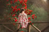 Poppy Dress
