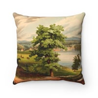 Image 2 of Plate No.372 Throw Pillow