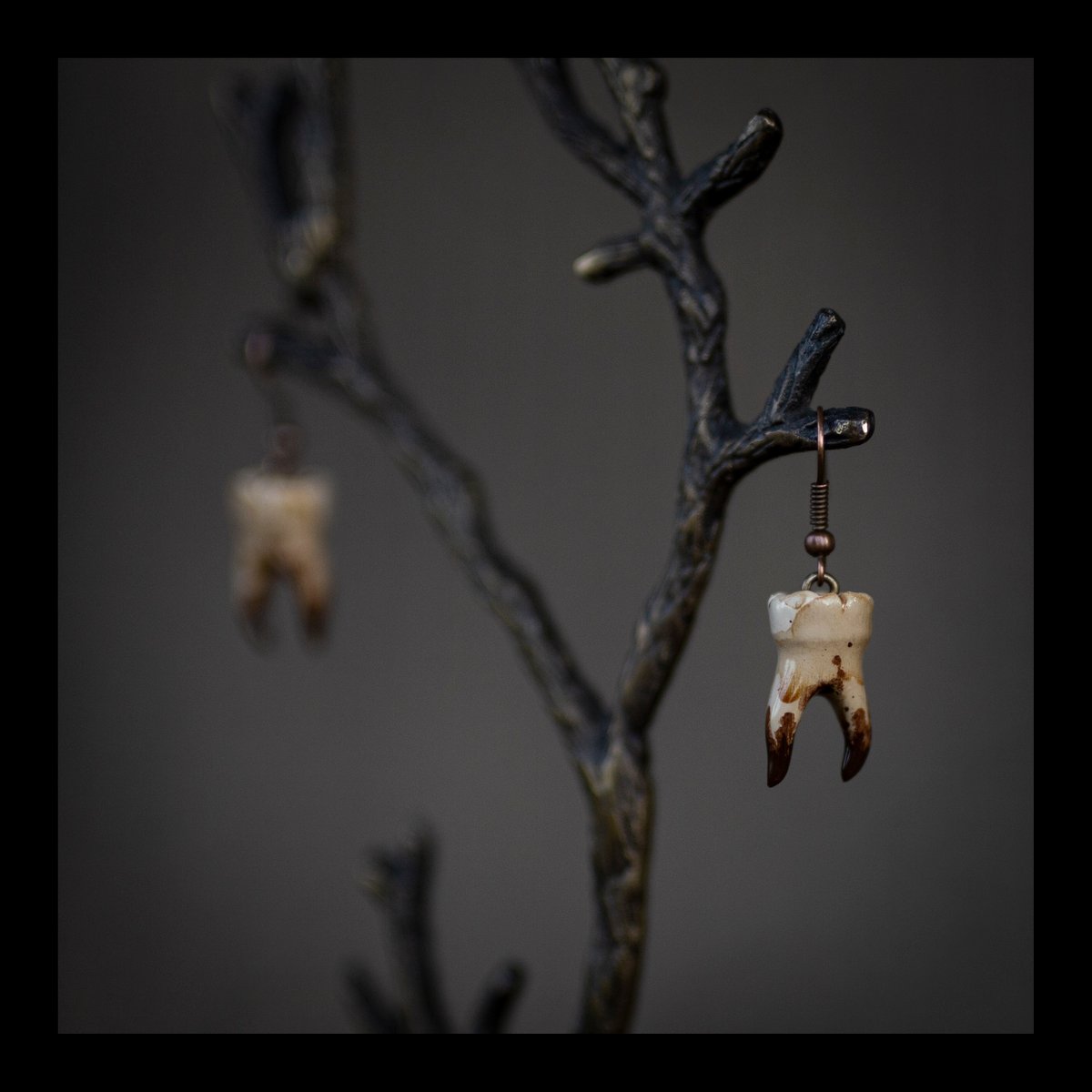 PRE-ORDER: Coffee-Stained 2-Root Molar Earrings