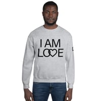 Image 3 of Icaniam “❤️ Not Hate” Unisex Sweatshirt