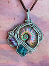 Rainbow Ammonite, Watermelon and Indicolite Tourmalines Pendant