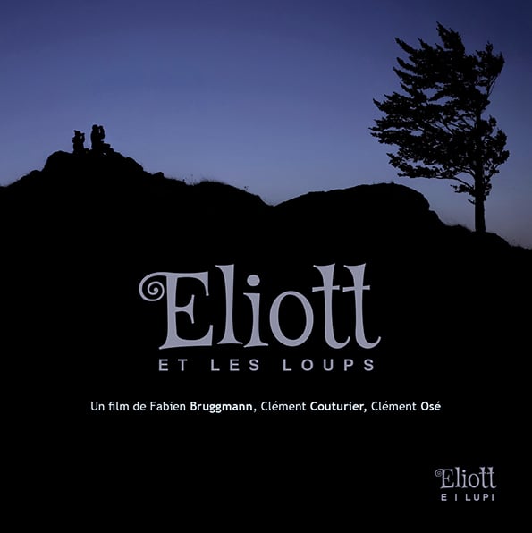 Image of DVD Eliott et les loups