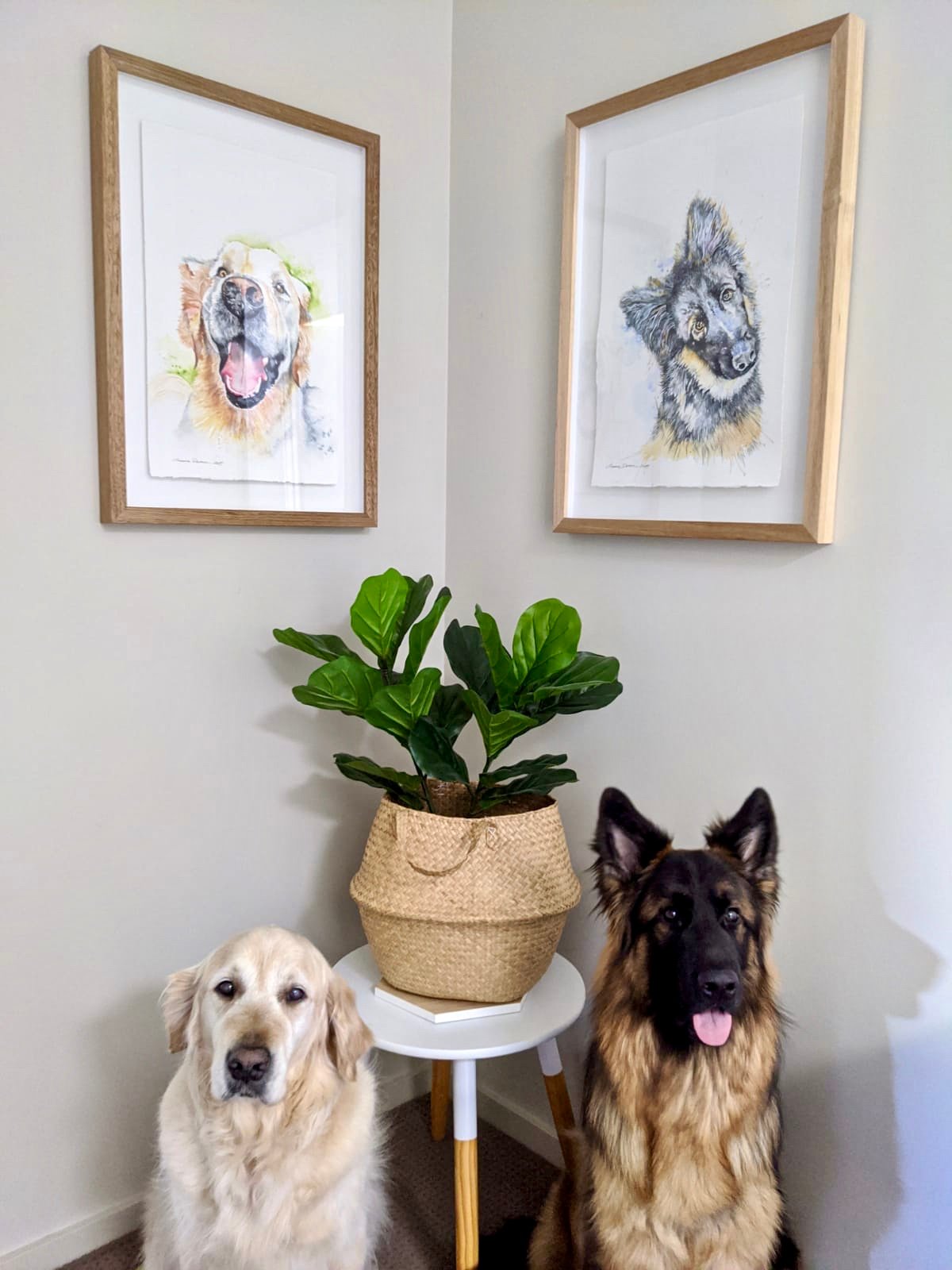 Image of Pet portraits