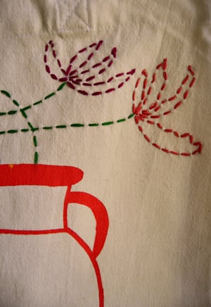 Las flores de mi jardín