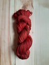 Spiced Apple Cider Yarn
