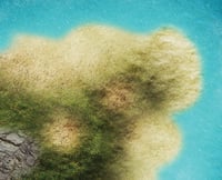 Image 2 of Islands -- 4' x 6' plus -- #960