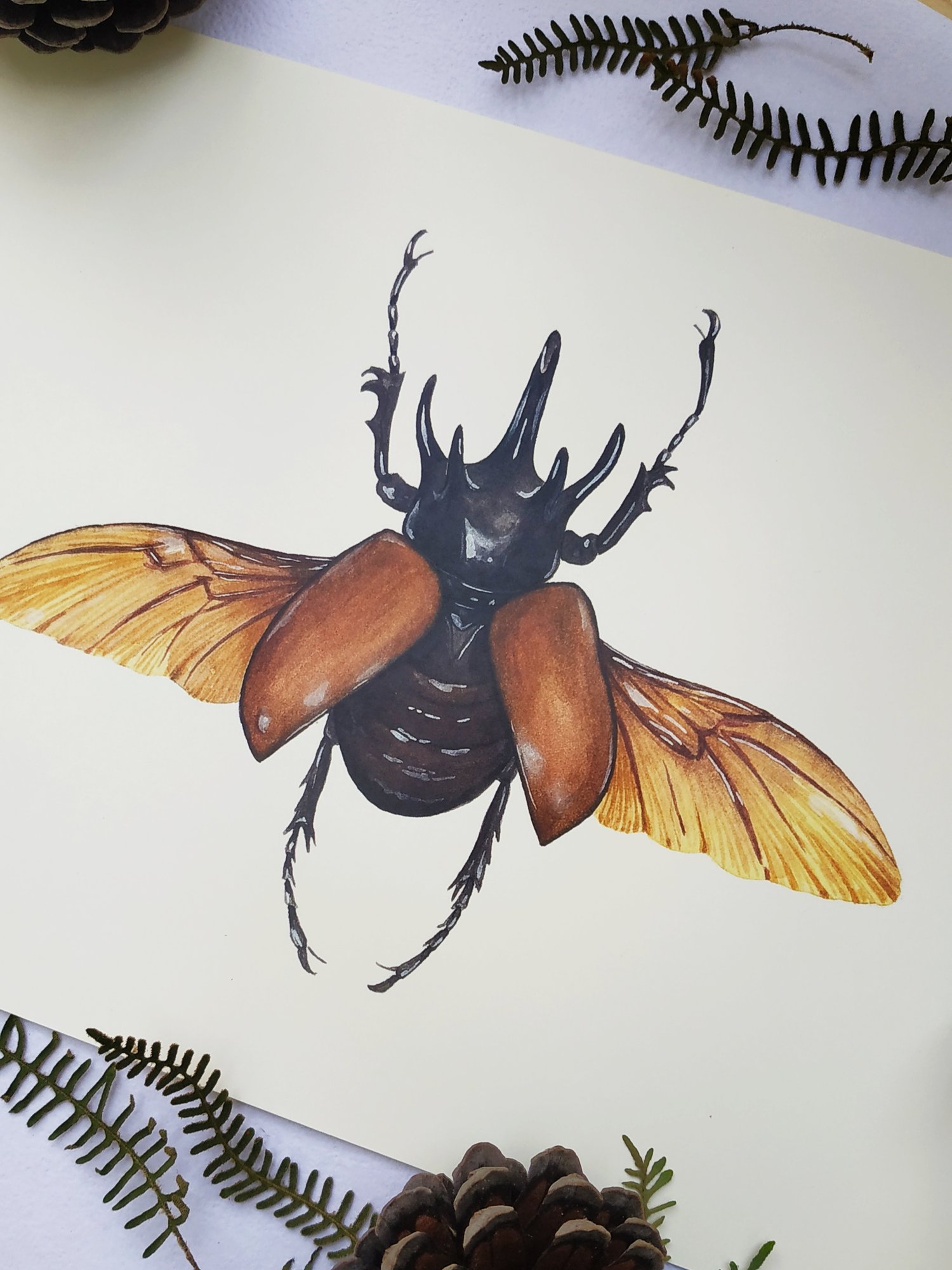 Image of Five Horned Rhino Beetle Watercolor Illustration PRINT 