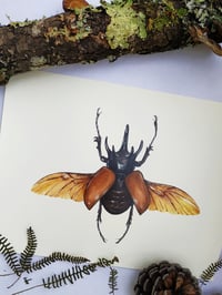 Image 5 of Five Horned Rhino Beetle Watercolor Illustration PRINT 