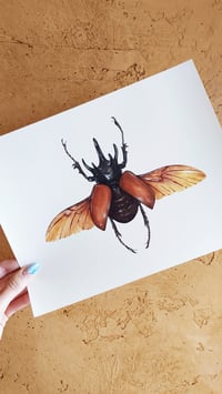 Image 2 of Five Horned Rhino Beetle Watercolor Illustration PRINT 