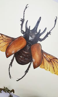 Image 4 of Five Horned Rhino Beetle Watercolor Illustration PRINT 