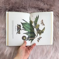 Image 1 of Junk Journal - Blush Cover - 18