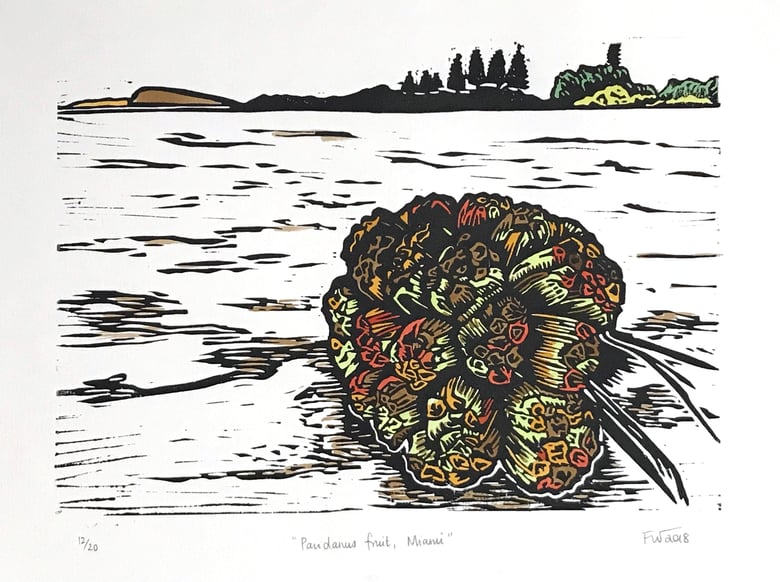 Image of "Pandanus Fruit, Miami"  2018 - Hand Coloured