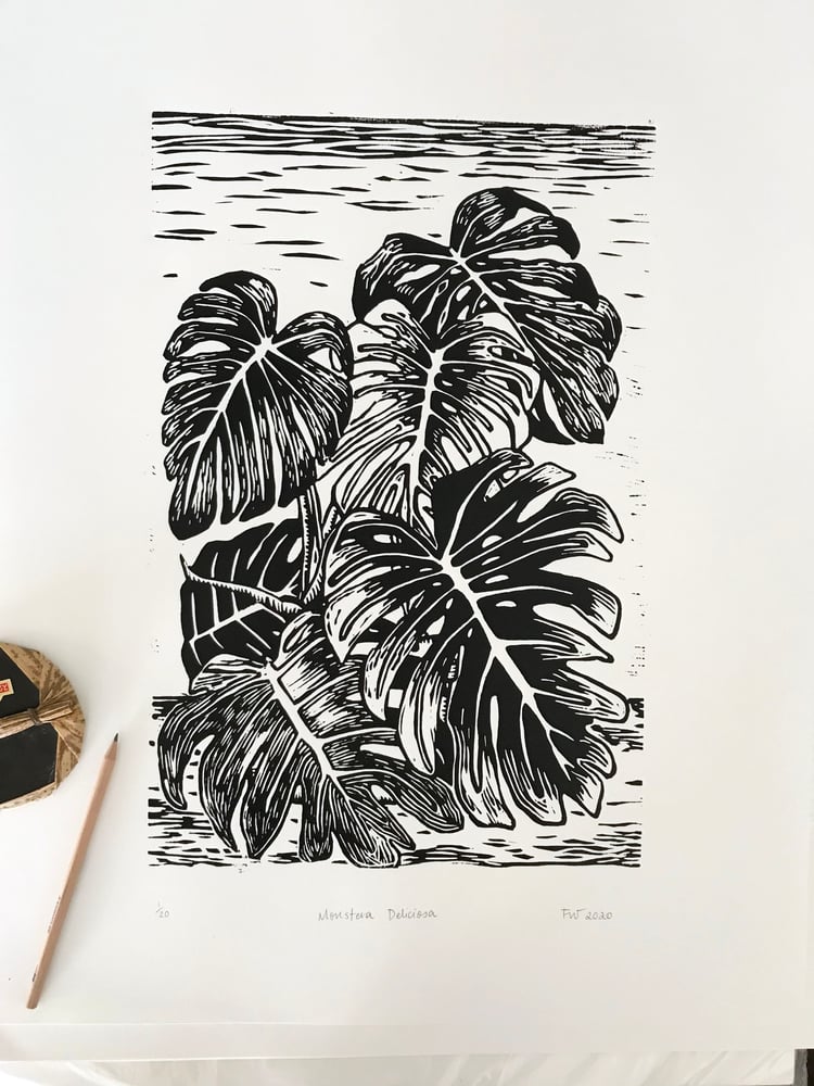 Image of "Monstera Deliciosa" 2020