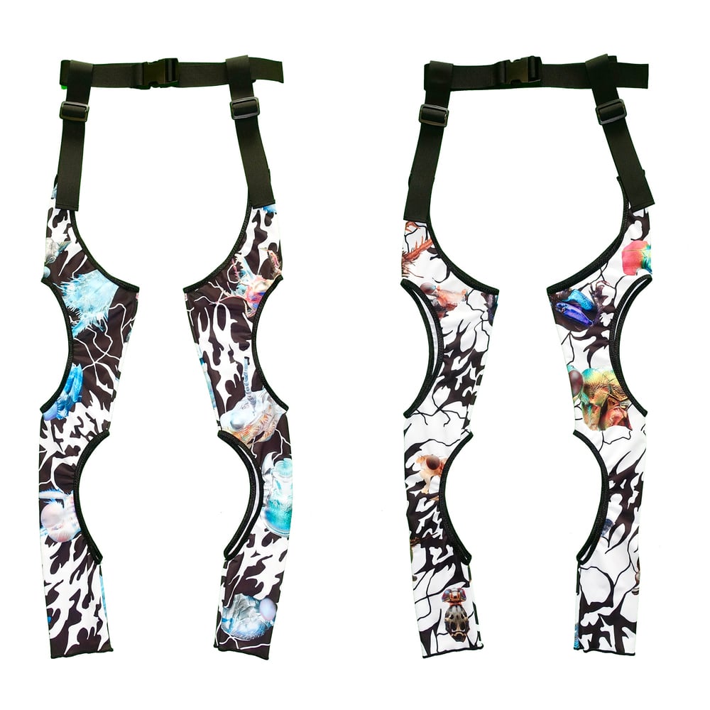 Image of Ungeziefer’ cut-out legs.