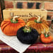 Image of Magical Halloween velvet pumpkins