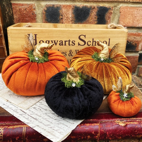 Image of Magical Halloween velvet pumpkins