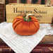 Image of Magical Halloween velvet pumpkins