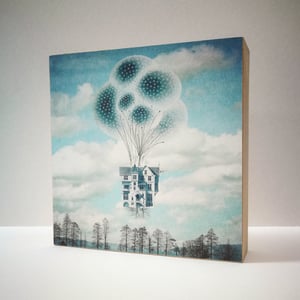 Image of Raíces y Globos 28x28 cm