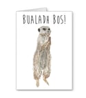 Bualadh Bos - (Applause) Well Done Meerkat