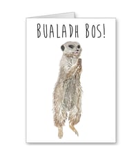 Image 2 of Bualadh Bos - (Applause) Well Done Meerkat