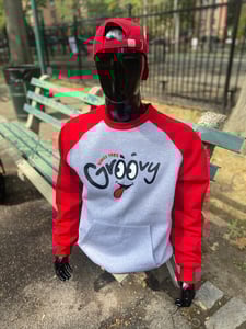 Image of Two Color Sweater