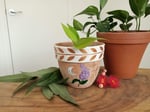 Lavendar Plant Pot