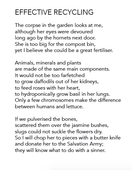 Image of Meanwhile by Cynthia Rodríguez