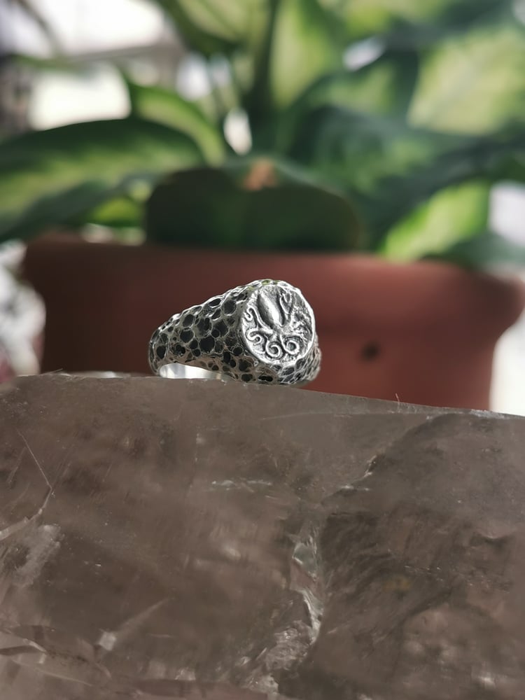 Image of Octopus Ring 