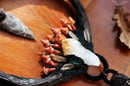 Image 4 of Orange Mushroom Wreath Wall Decoration