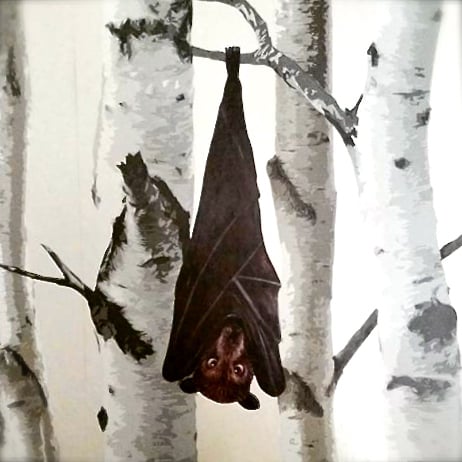 Image of Brian the Fruit Bat ~ Wall sticker decal 