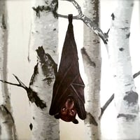 Image 3 of Brian the Fruit Bat ~ Removable Wall sticker 