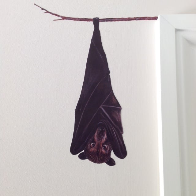 Image of Brian the Fruit Bat ~ Removable Wall sticker 