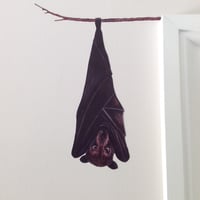 Image 1 of Brian the Fruit Bat ~ Removable Wall sticker 